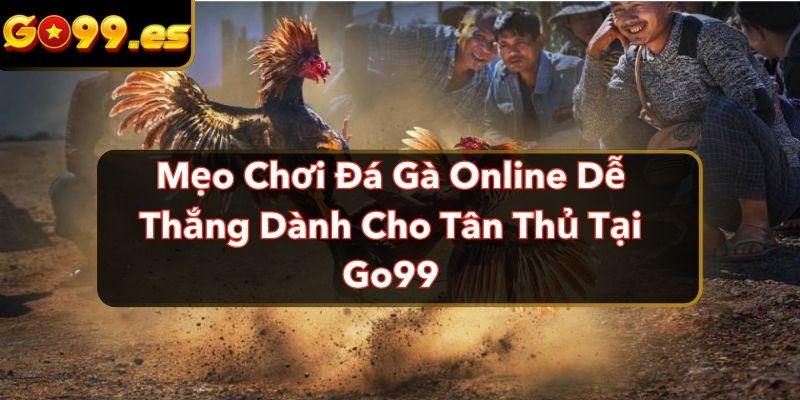 mẹo chơi đá gà online