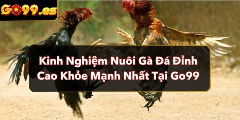 kinh nghiệm nuôi gà đá